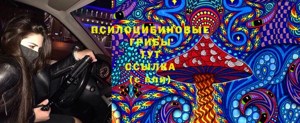 прущий лед Бронницы