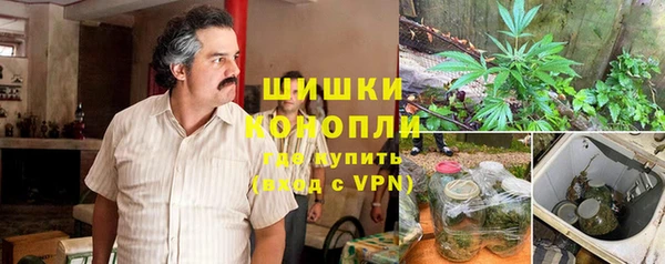 таблы Бородино