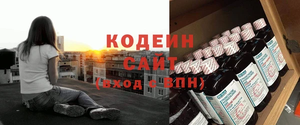 таблы Бородино