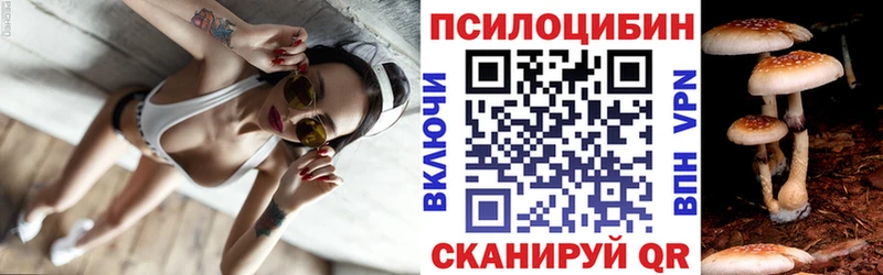 mega ссылки  Ростов  Псилоцибиновые грибы Cubensis 